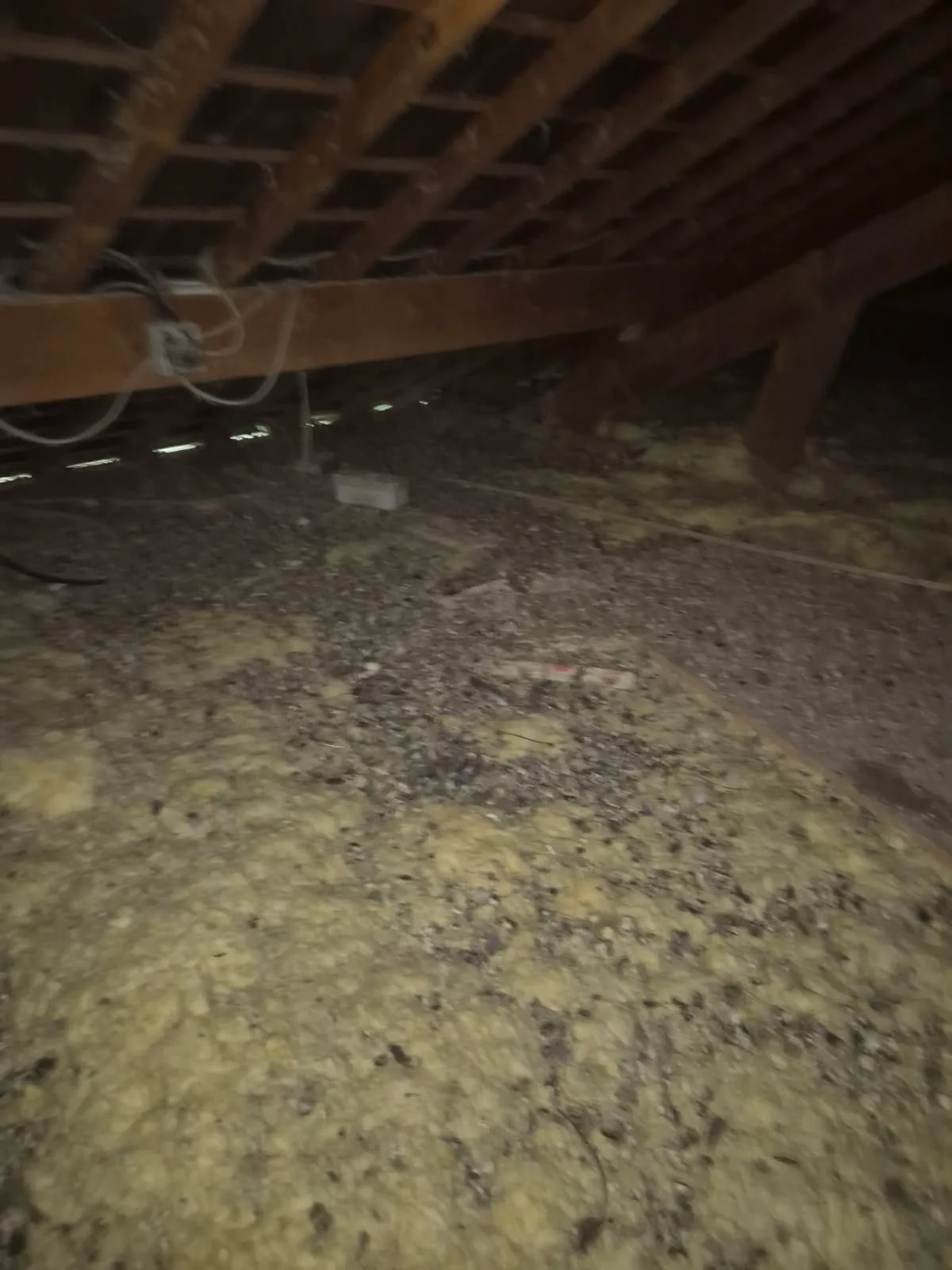 Quand poser des grilles anti-intrusion oiseaux plutôt que des pics ?