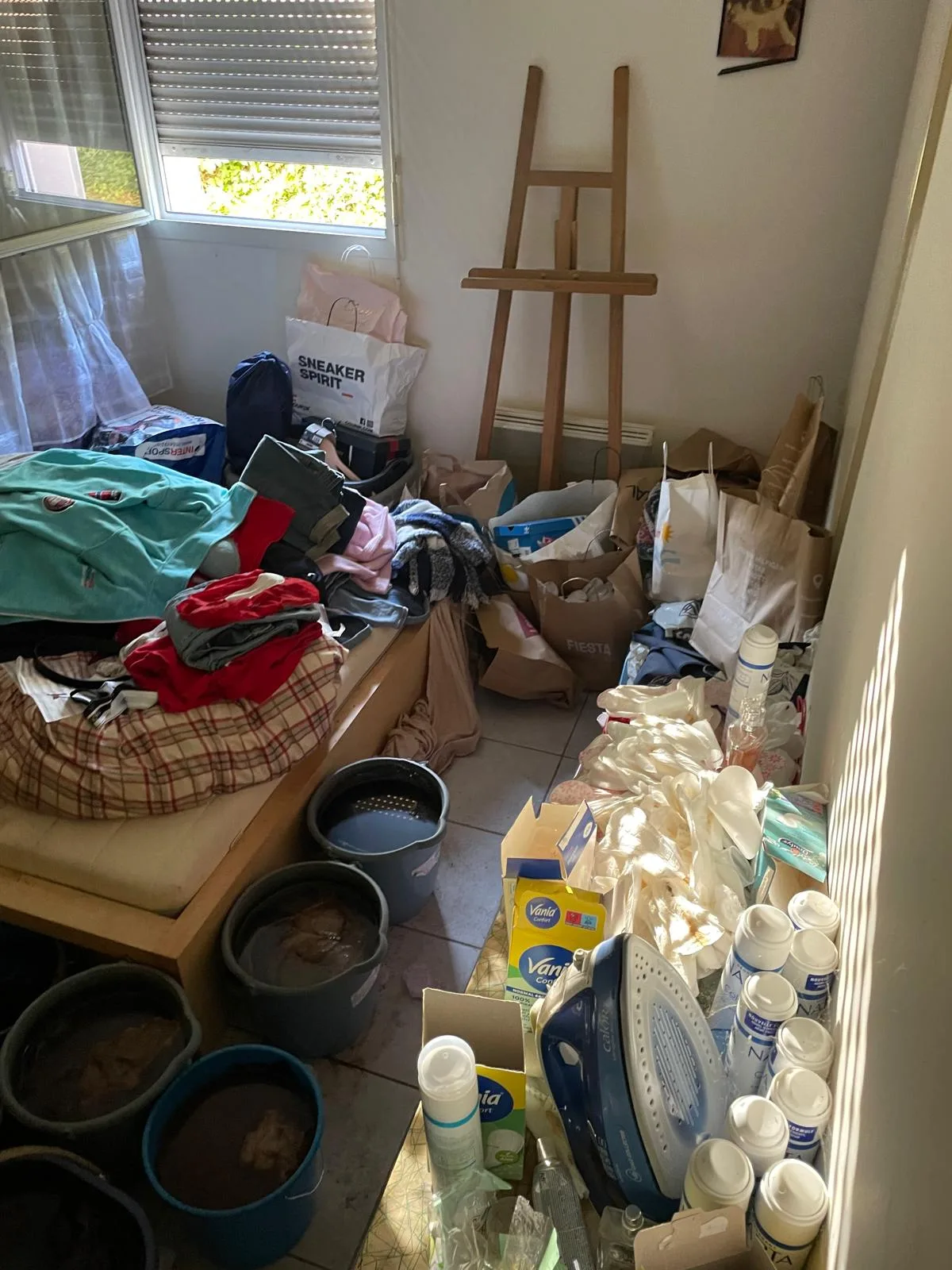 Quels indices révèlent une infestation secondaire (mouches, rongeurs) après décès ? Quels indices révèlent une infestation secondaire (mouches, rongeurs) après décès ?